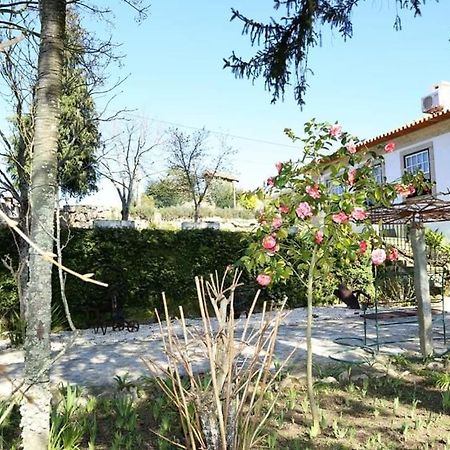 Quinta De Vila Verde- Paixao Ancestral, Turismo Rural Marco de Canaveses Bagian luar foto