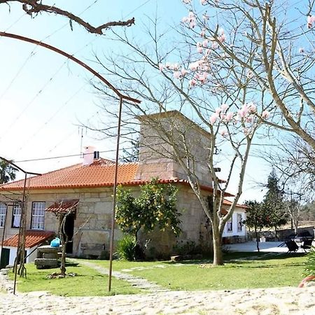 Quinta De Vila Verde- Paixao Ancestral, Turismo Rural Marco de Canaveses Bagian luar foto